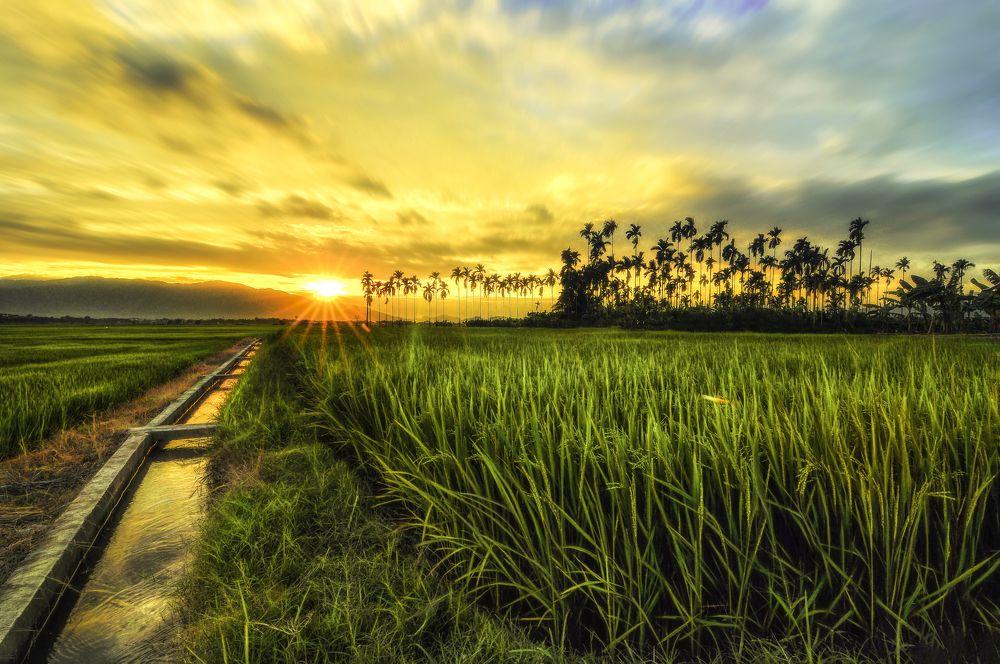 Photograph by Tran Khoa