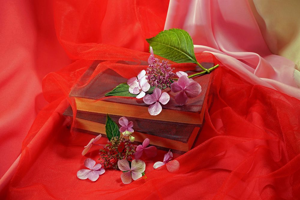 Photograph by Tatiana Glazkova