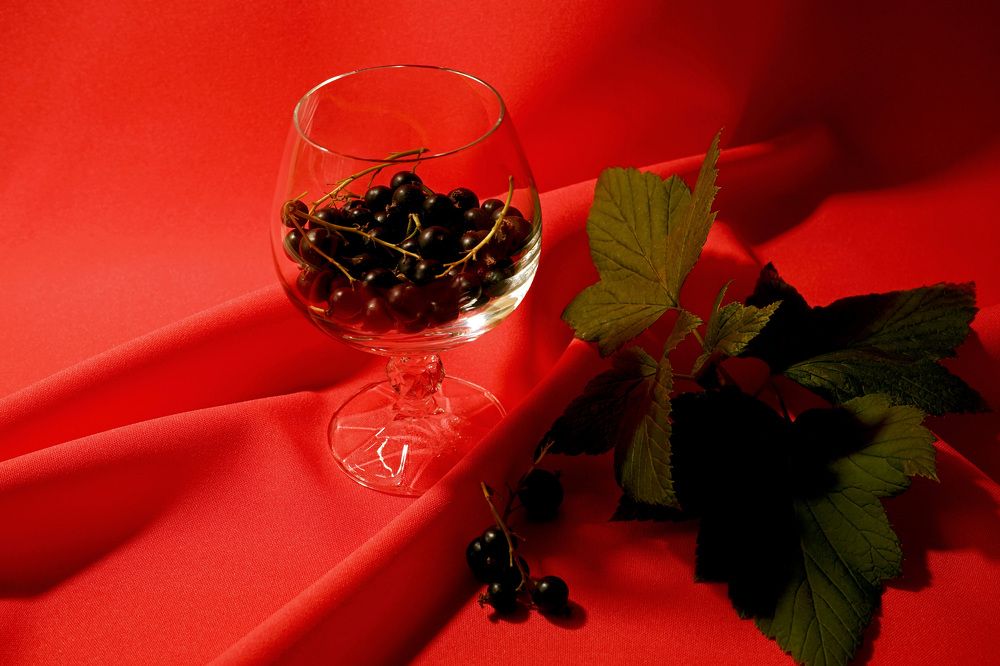 Photograph by Tatiana Glazkova