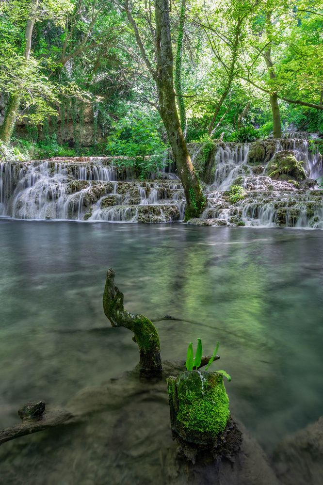 Фотография автора Виктор Демидов