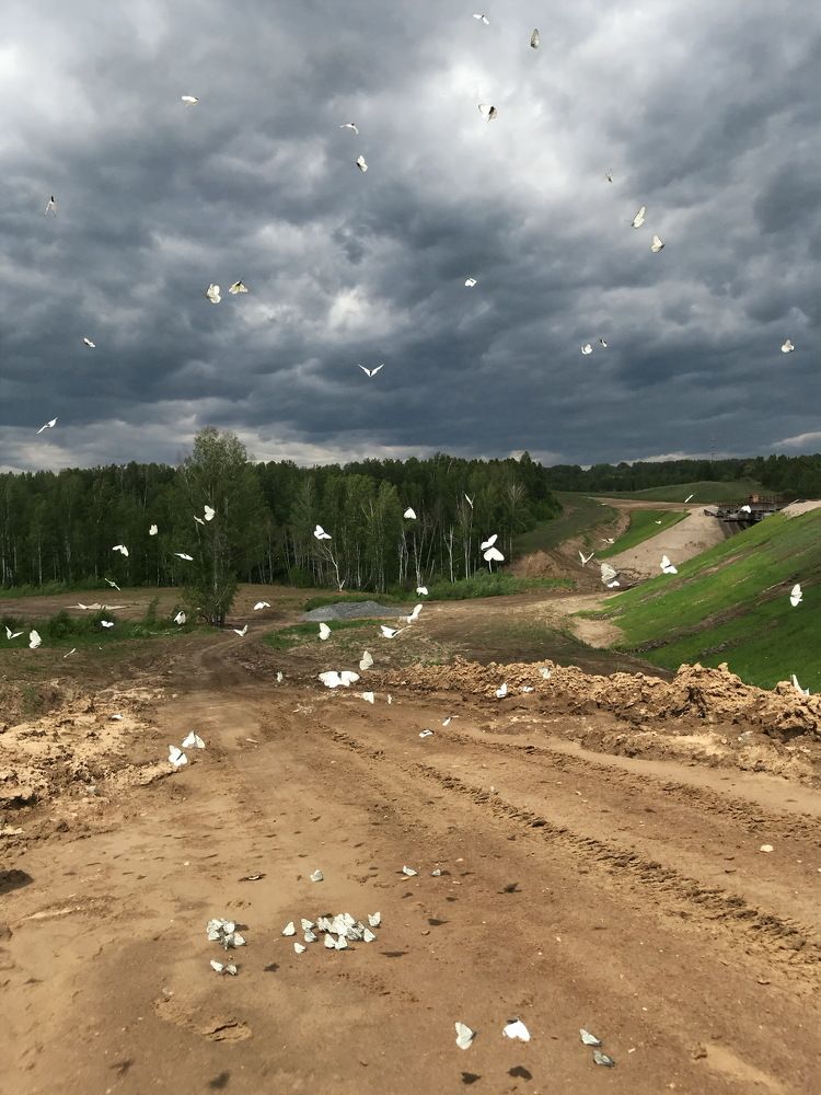 Photograph by Кирилл Березов