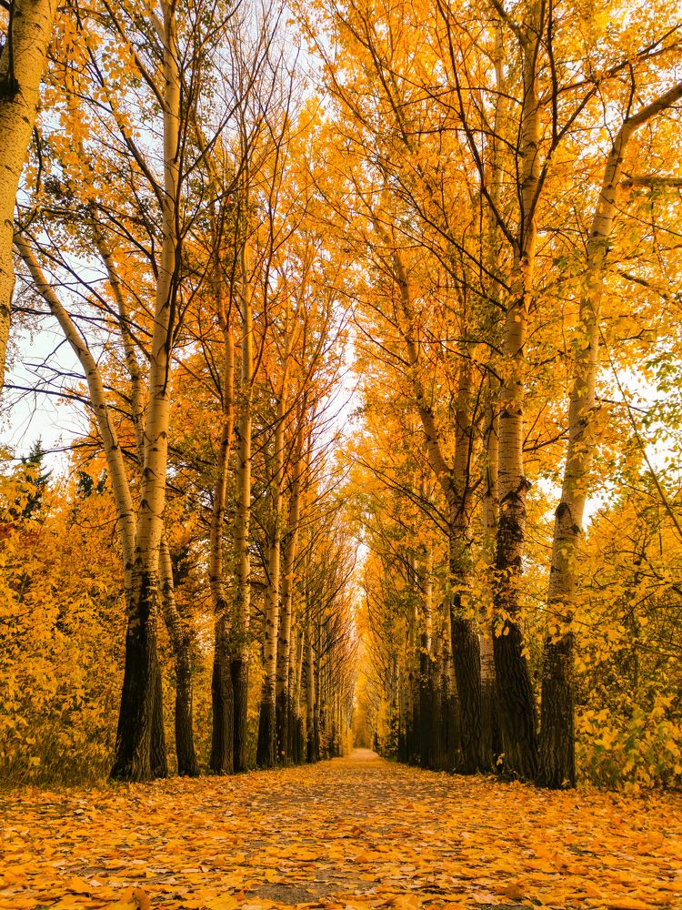 Photograph by Алёна Красова