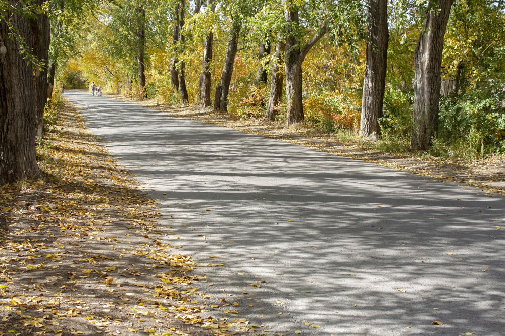 Photograph by Надежда Яковлева