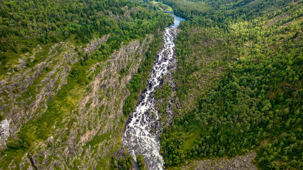 Photograph by Михаил Лаптев