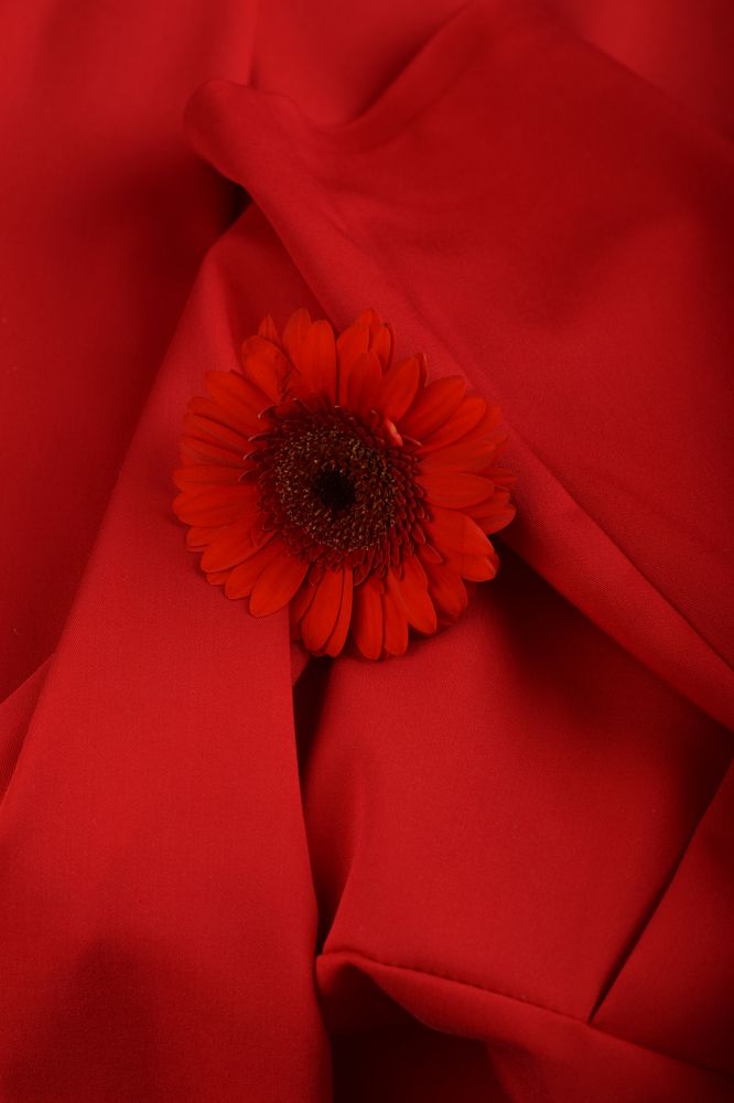 Photograph by Виктория Миллер