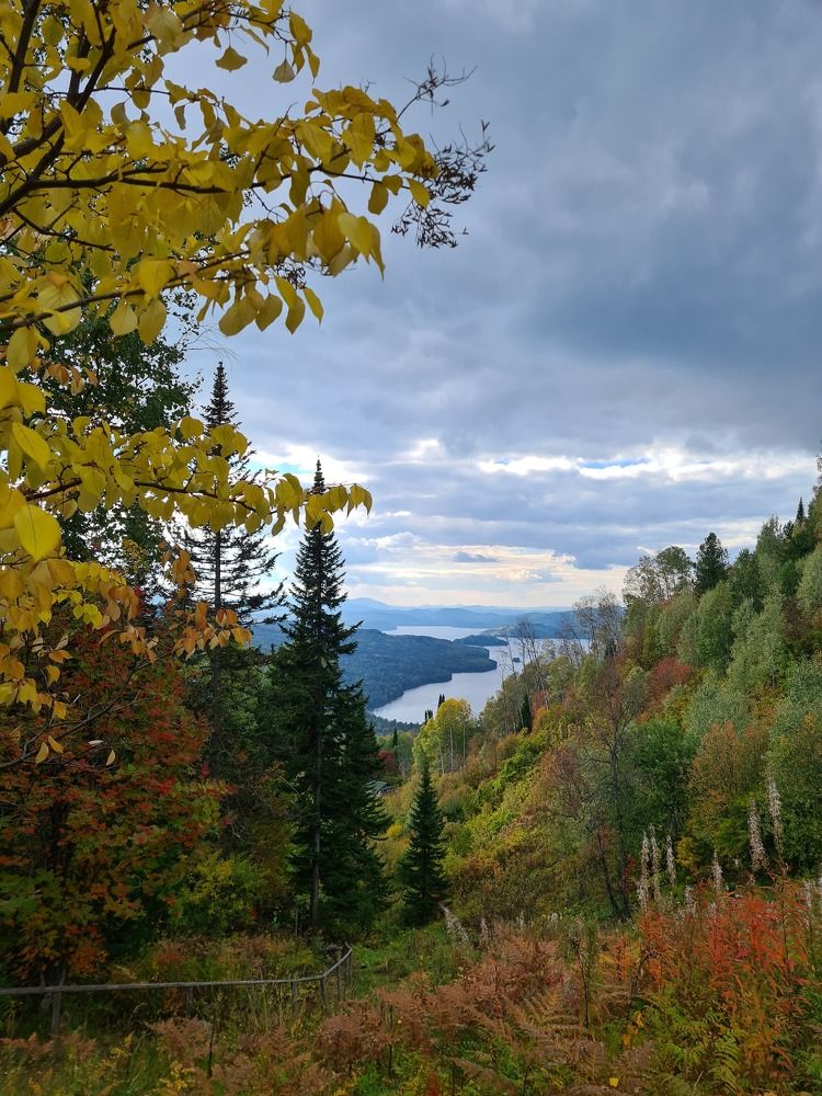 Photograph by Анастасия Агалакова