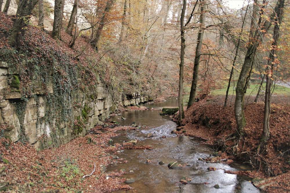 Фотография автора caroline martin (dony)