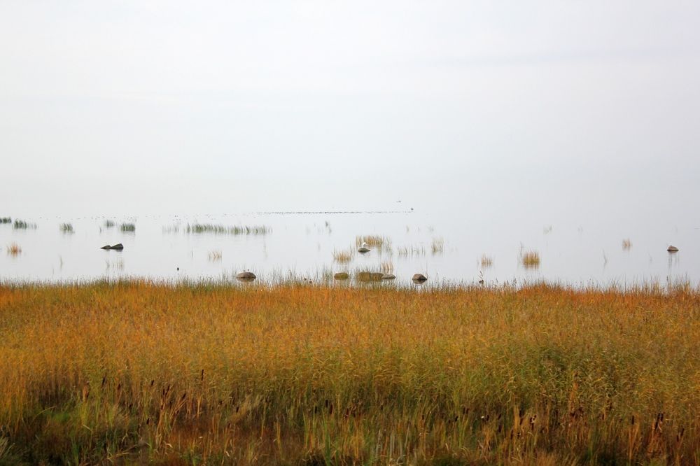 Photograph by Olga Bagaeva