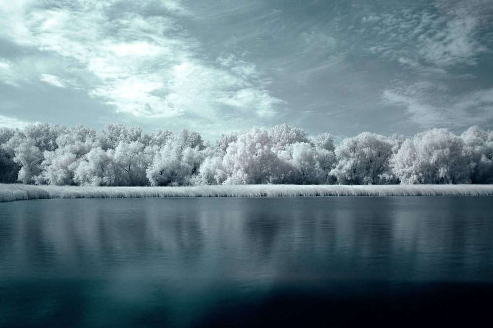 Photograph by 