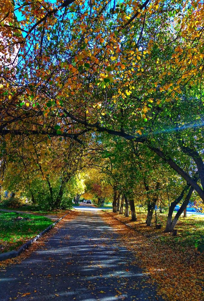 Photograph by Наталия Юминова