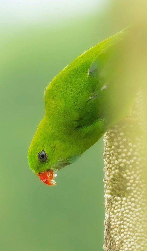 Photograph by Swapna Lotankar