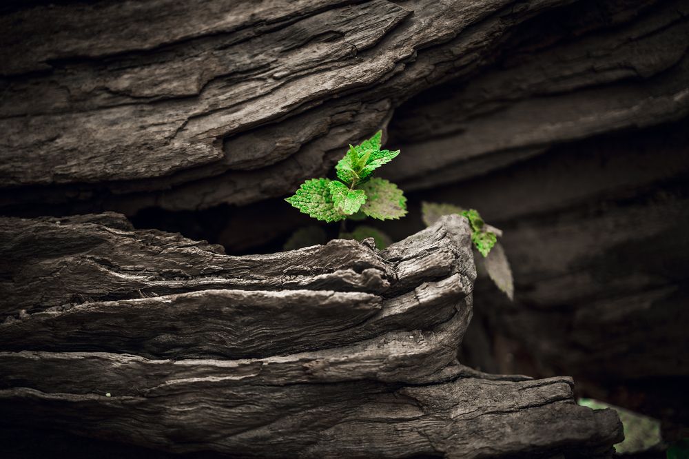 Photograph by Milana Rukaber