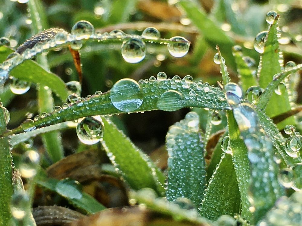 Photograph by Aklimay Sajor