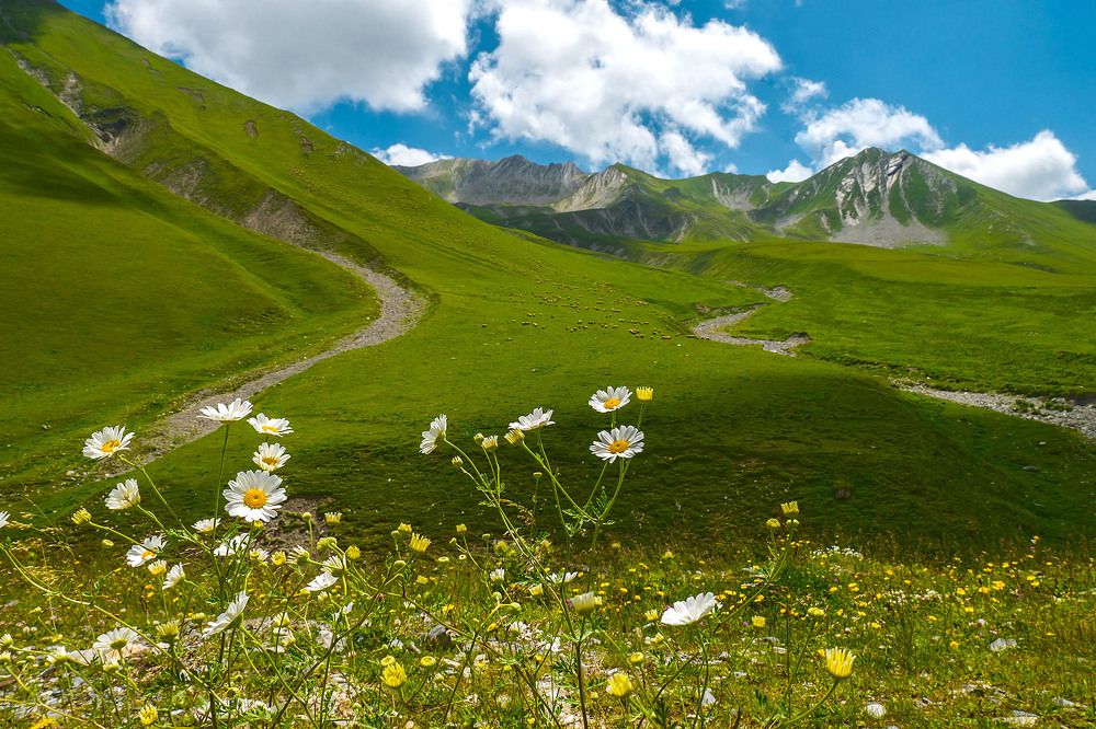 Photograph by Василий Губский