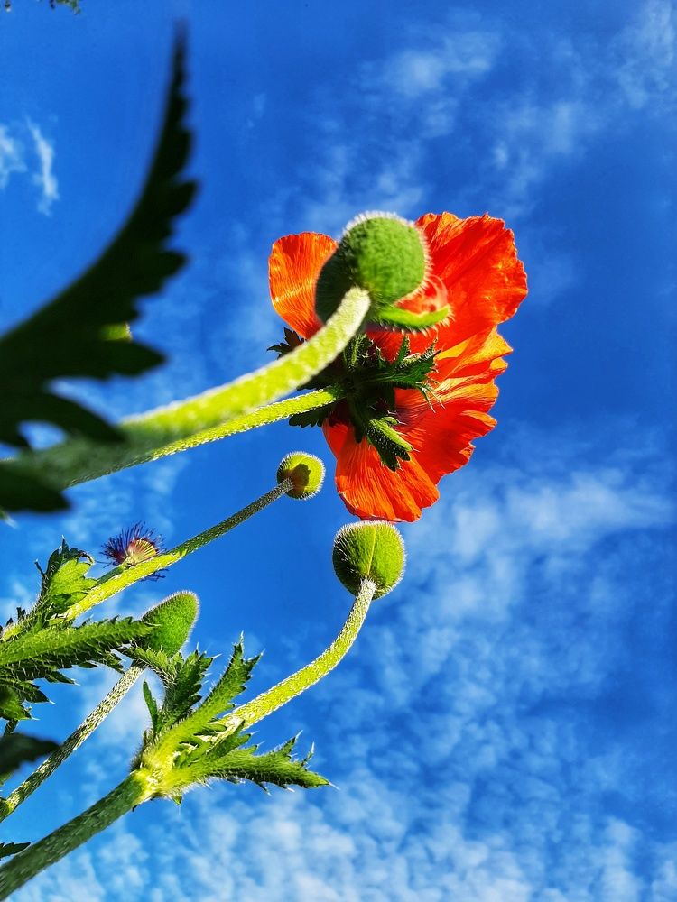 Photograph by Ирина Лучинская