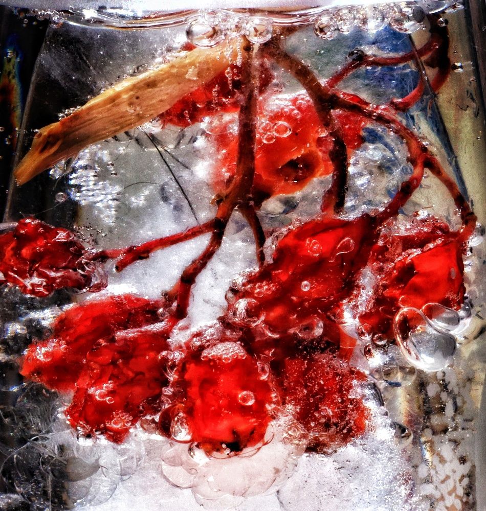 Зимняя ягода