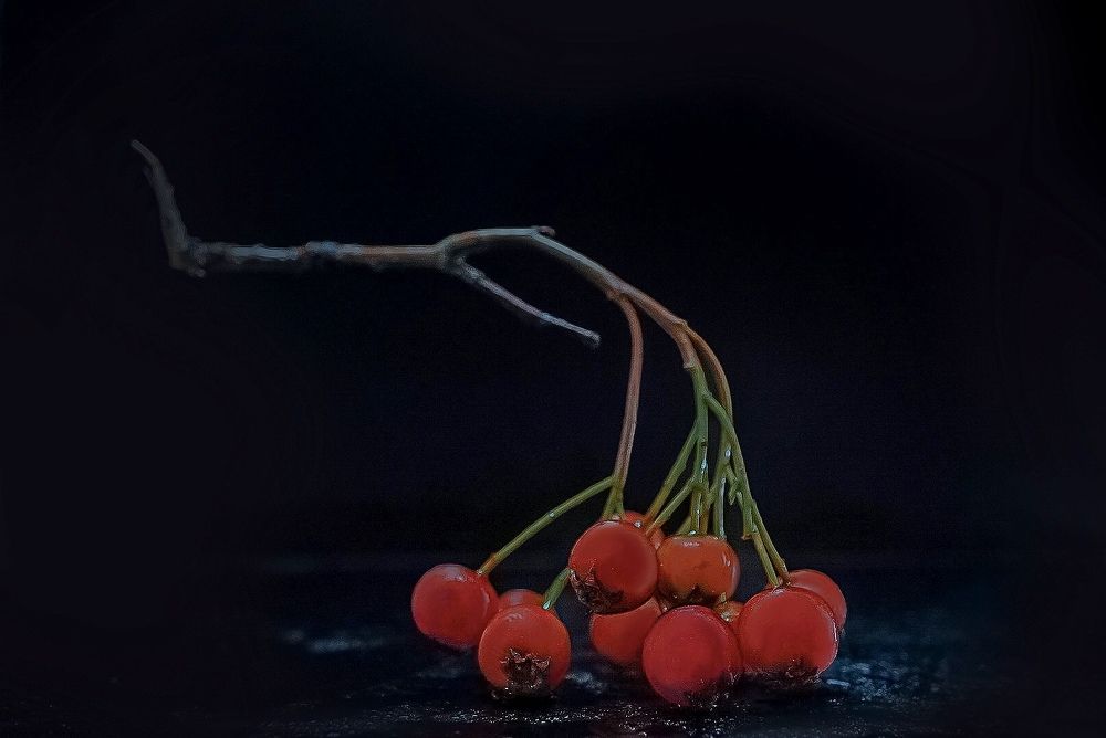 Photograph by T.Ю. Гринько