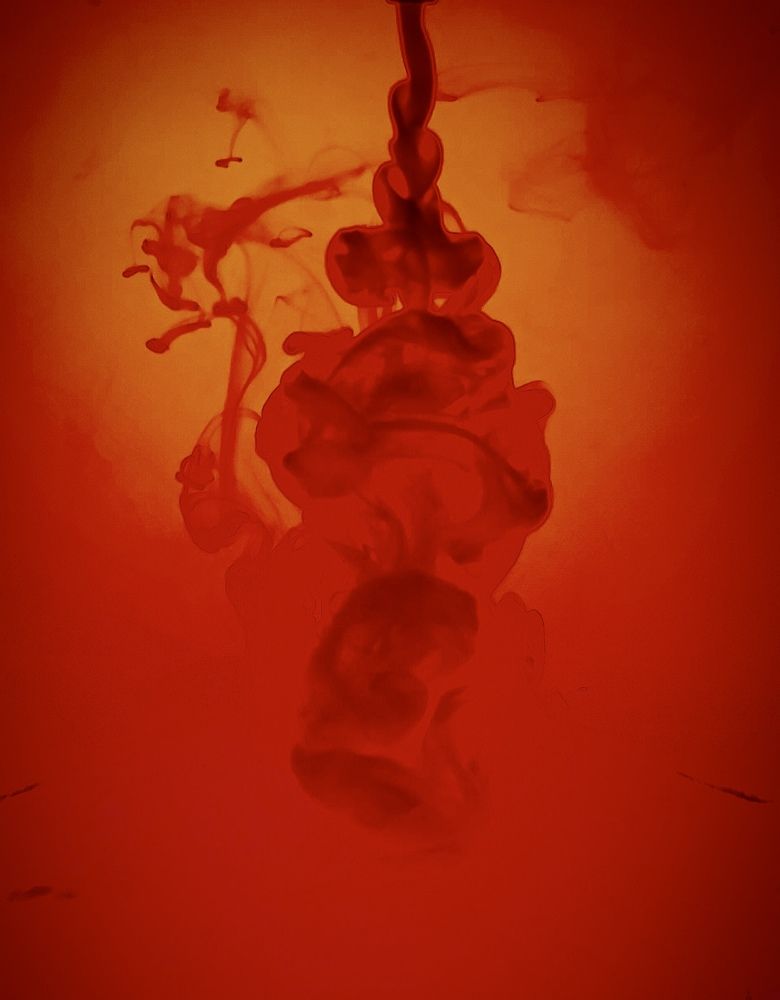 Photograph by T.Ю. Гринько