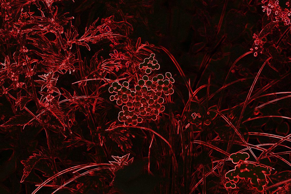 Photograph by Михаил Семёнов