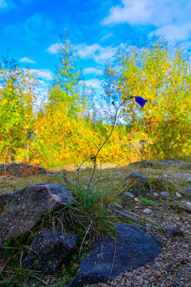 Photograph by Алексей Ильин