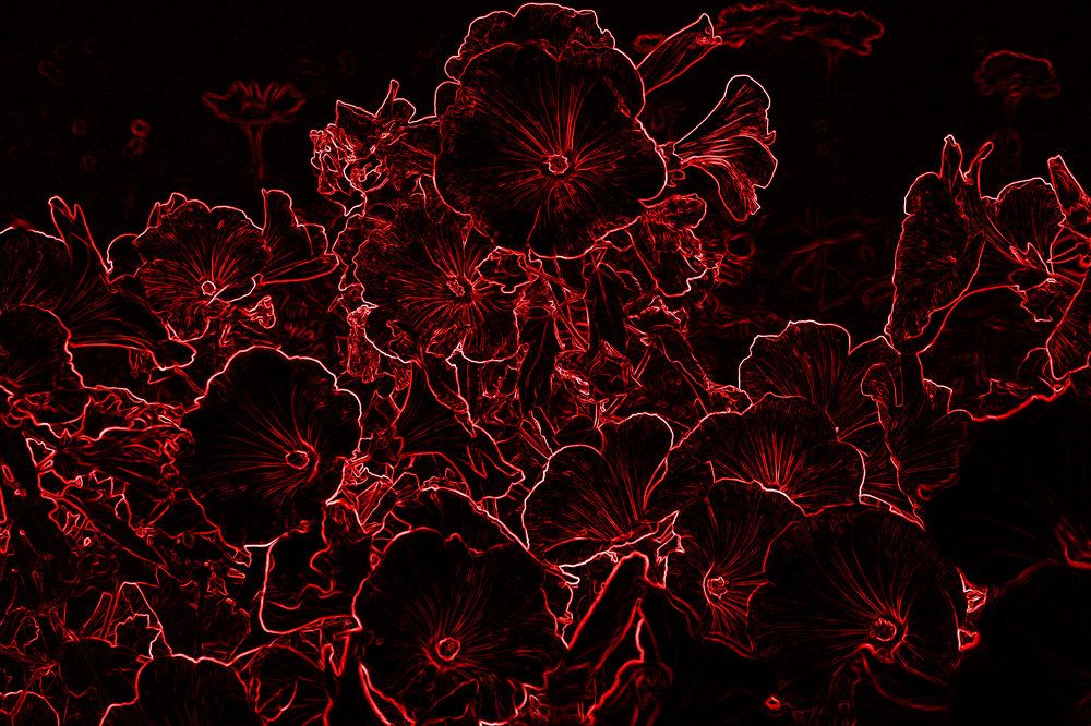 Photograph by Михаил Семёнов