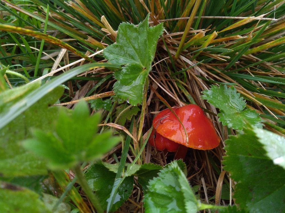 Photograph by СТЕПАН ДЖУЛАКИДЗЕ