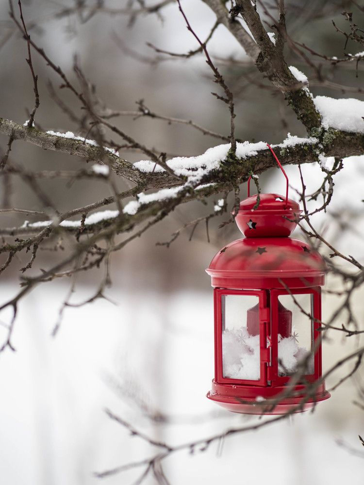 Photograph by Доляна Ашкова