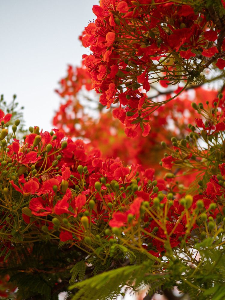 Photograph by Доляна Ашкова