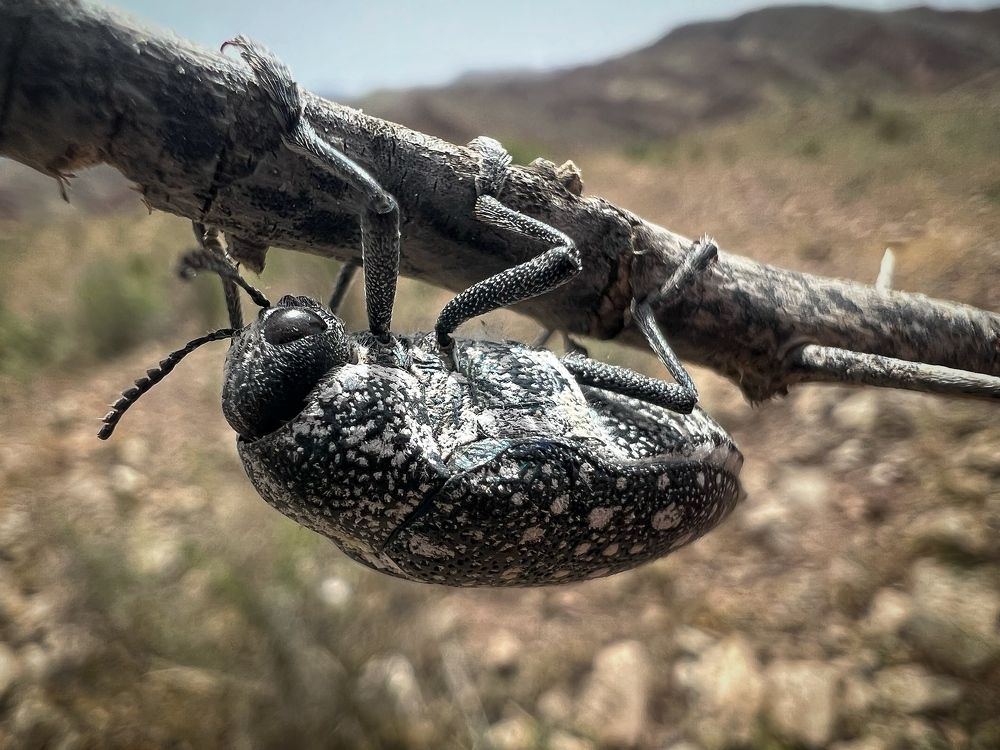 Photograph by mohammad mahmoodpoor