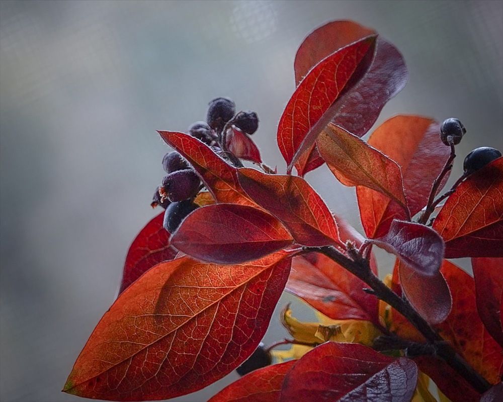 Photograph by Татьяна Гринько