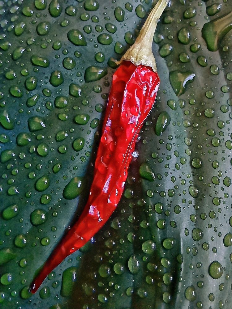 Фотография автора Ольга Кунакова