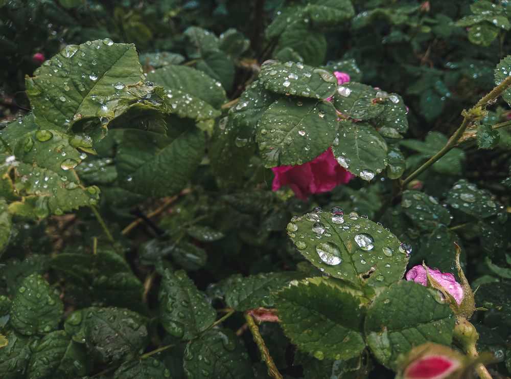 Фотография автора Юлия Гантимурова