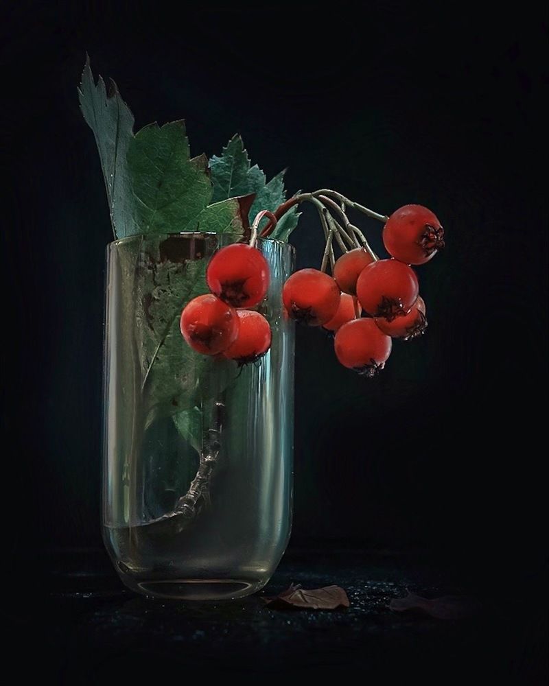 Photograph by Татьяна Гринько