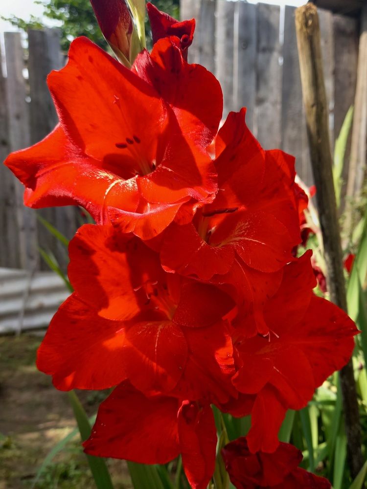 Photograph by Ольга