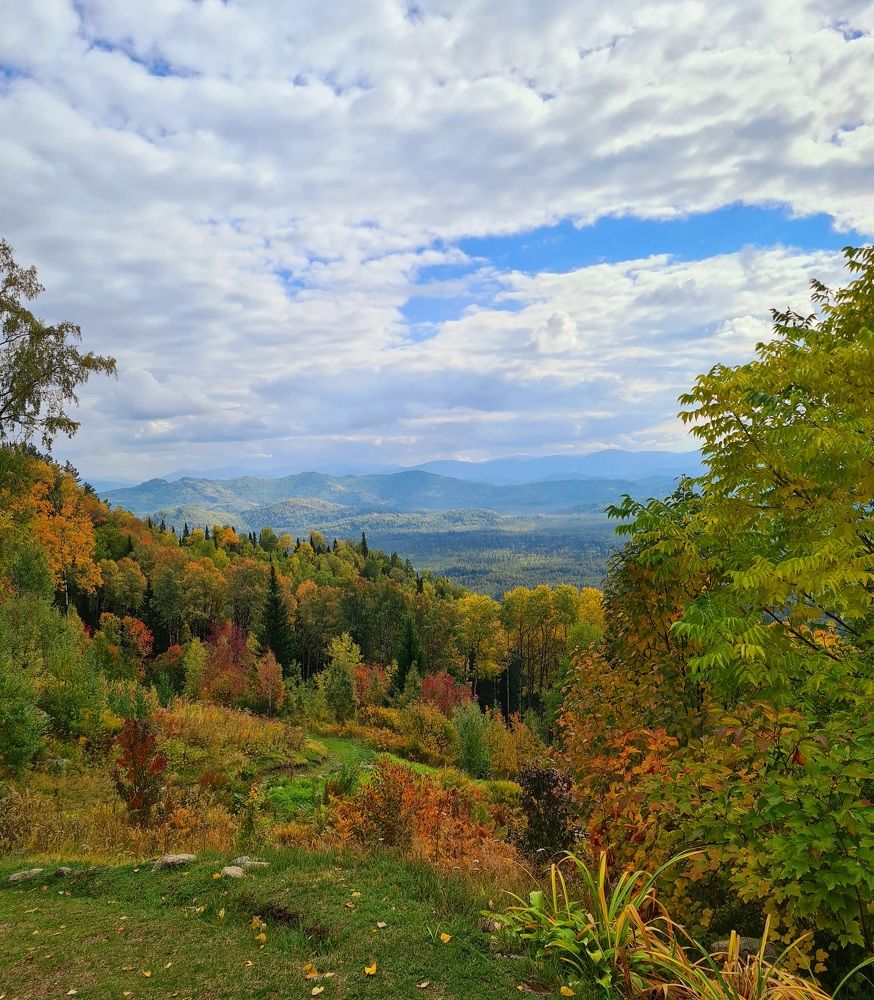 Photograph by Анастасия Агалакова