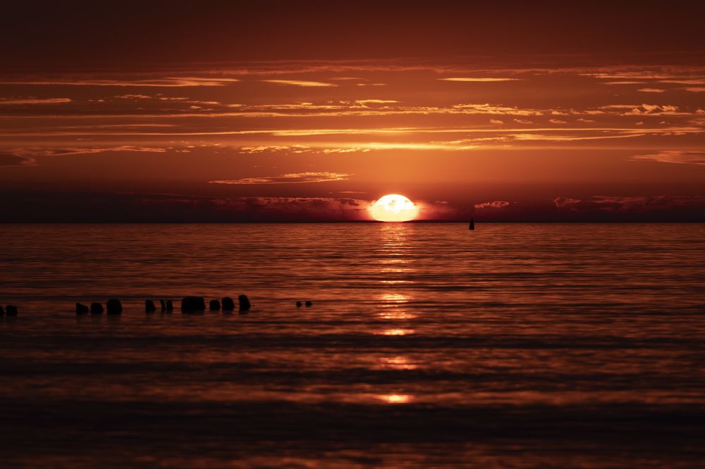 Photograph by косяк