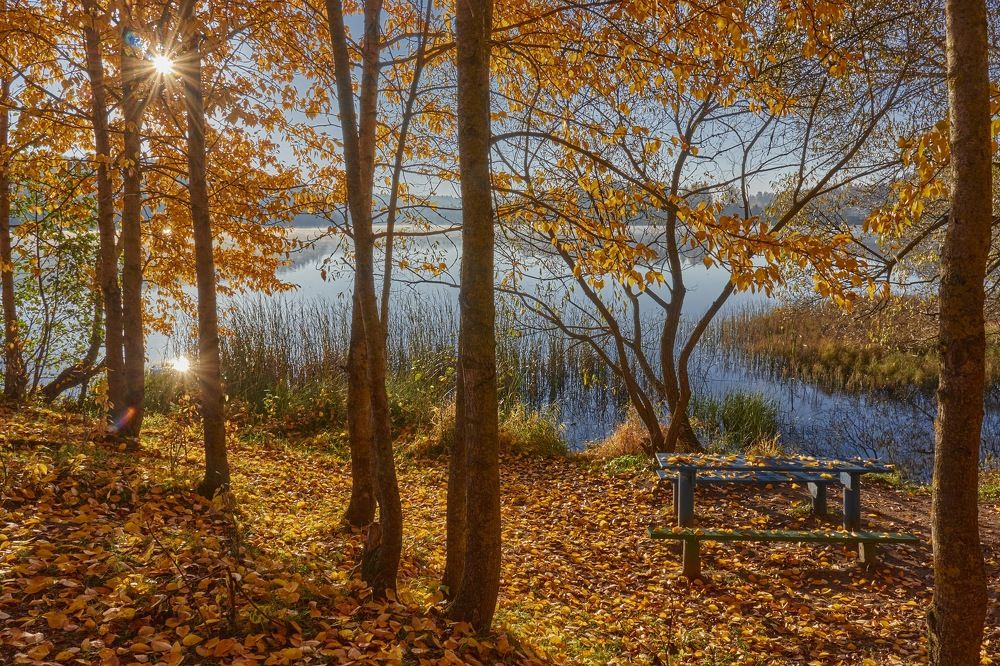 Photograph by Татьяна Полянская