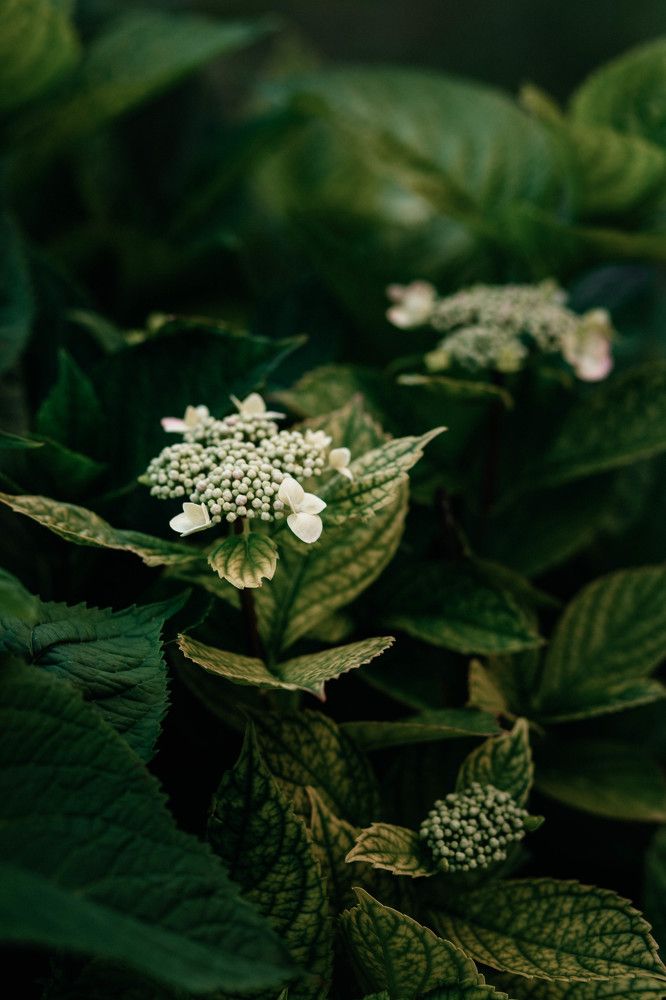 Photograph by Наталья Пагоцкая