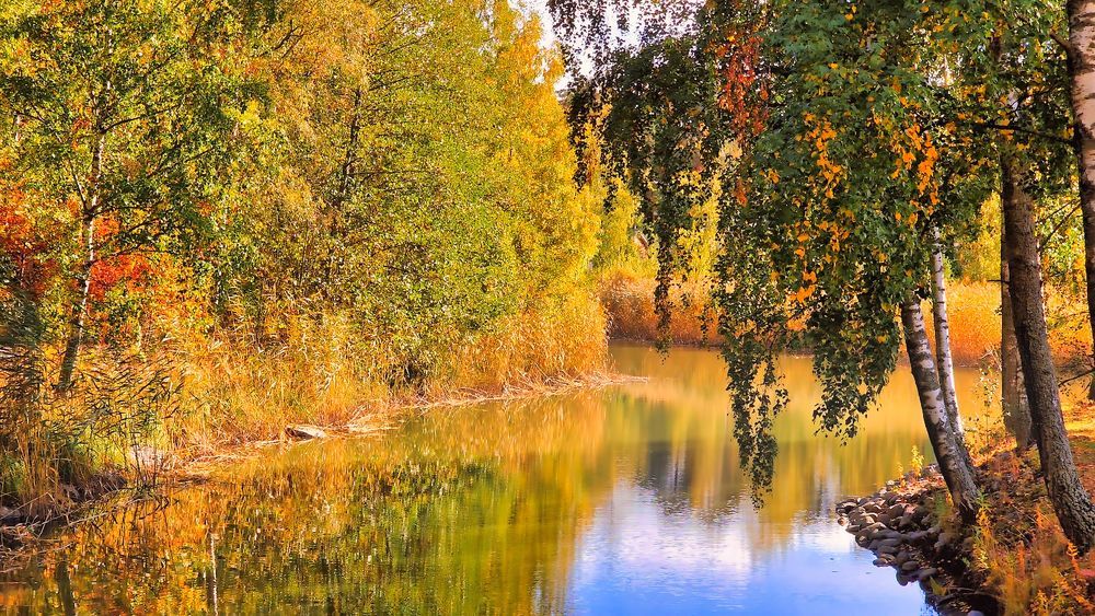 Photograph by Epp Tappel