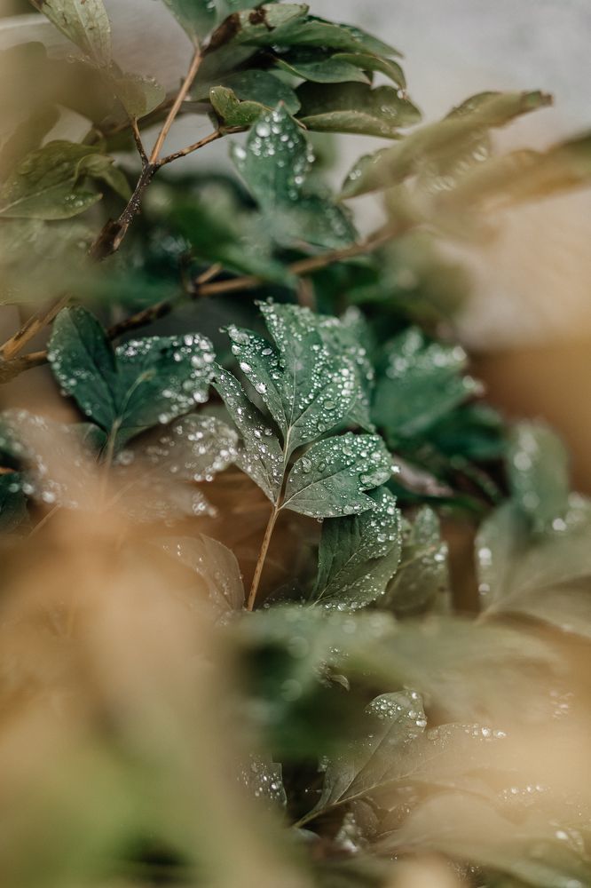 Photograph by Наталья Пагоцкая