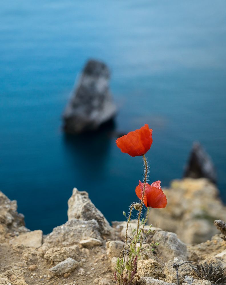 Photograph by Андрей Евтеев