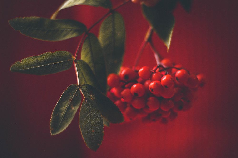 Photograph by Евгений Белов