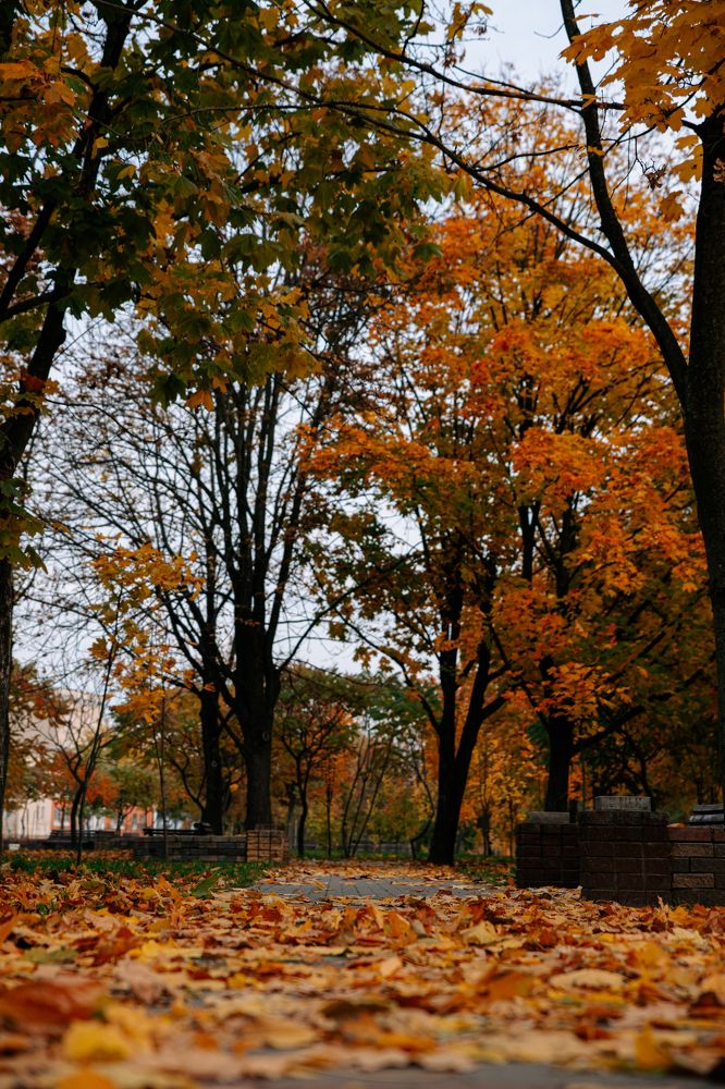Фотография автора Лукашенко Ольга