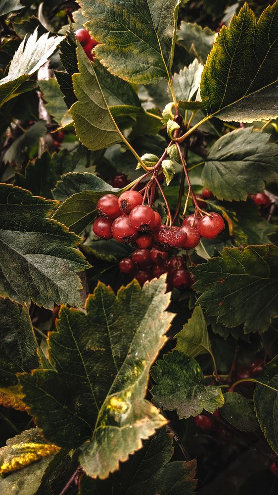 Photograph by Дарья Макаревич