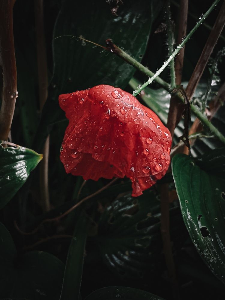 Photograph by Дарья Макаревич