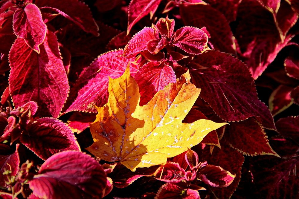 Photograph by Станислав Староверов