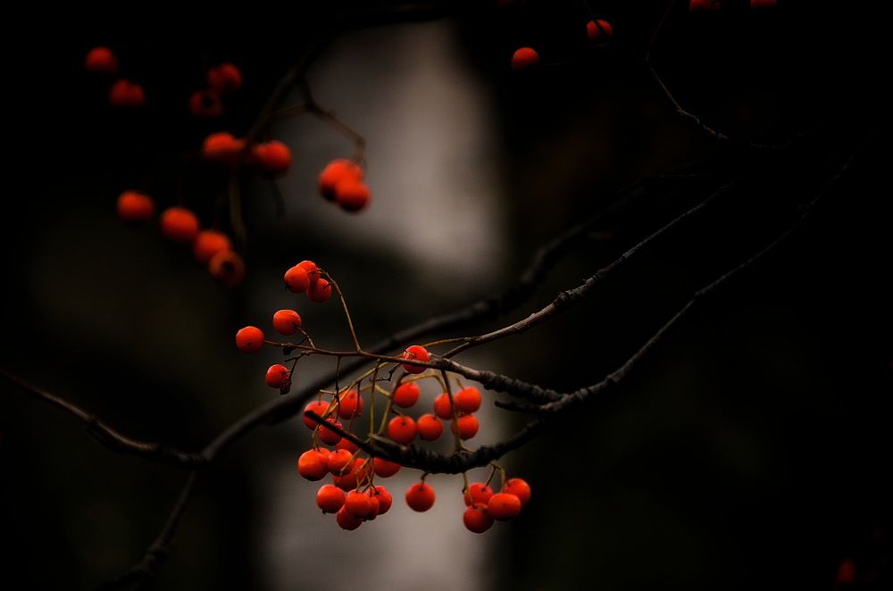 Photograph by Даниил Марков