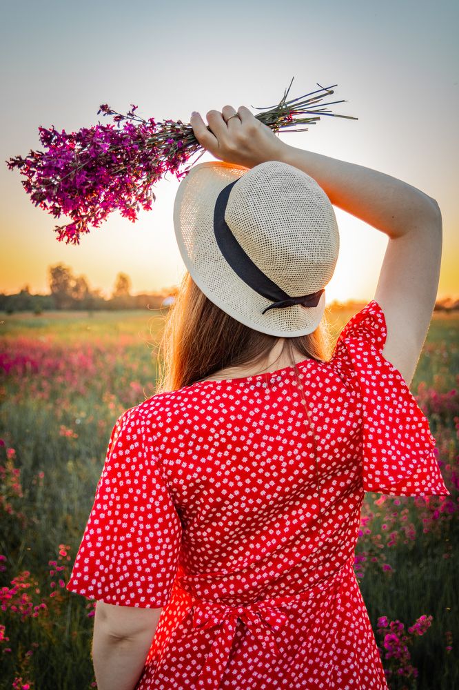 Летний закат