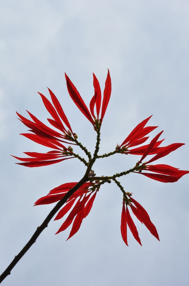 Photograph by SANDEEP KUMAR SHARMA SHARMA