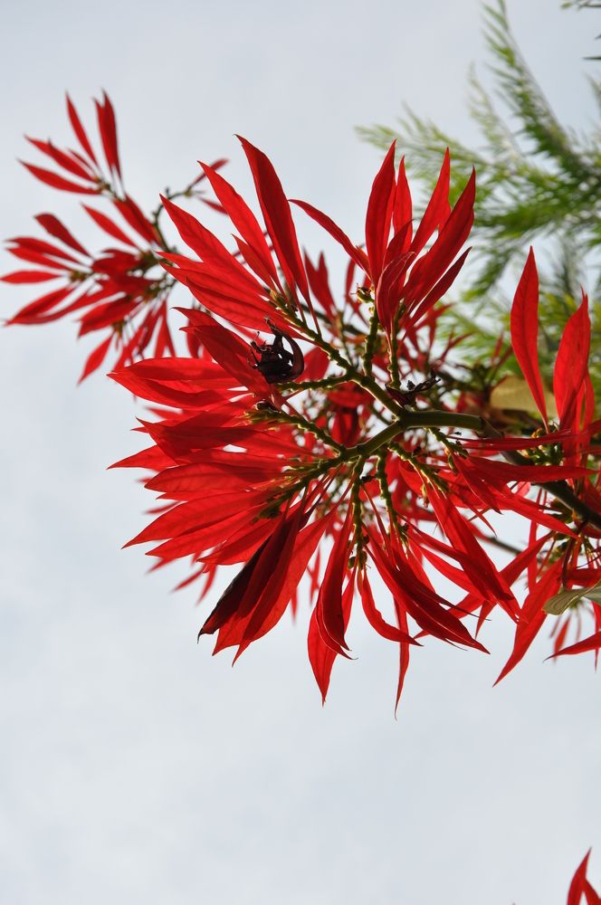 Photograph by SANDEEP KUMAR SHARMA SHARMA